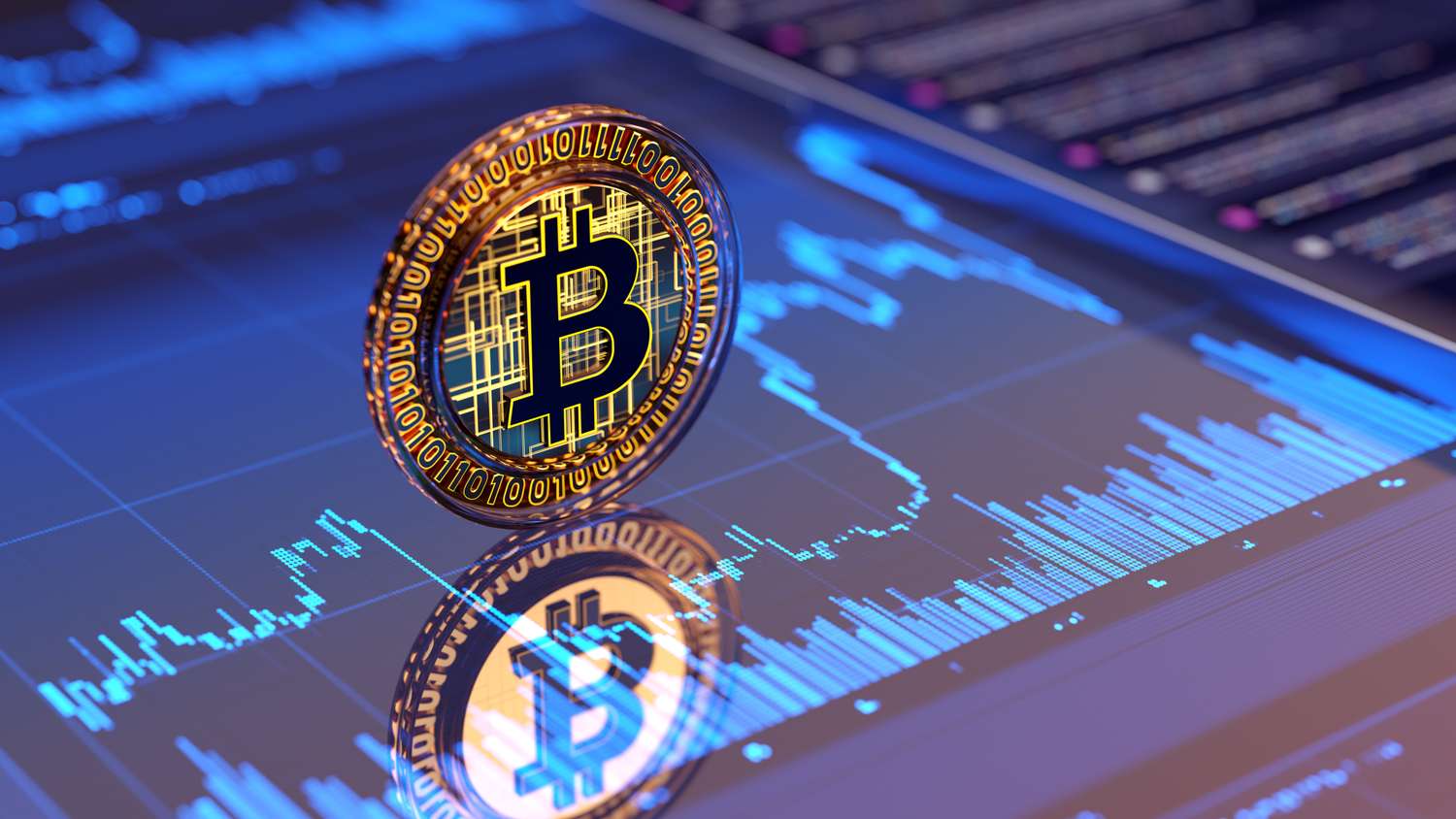 Stock Trading Education